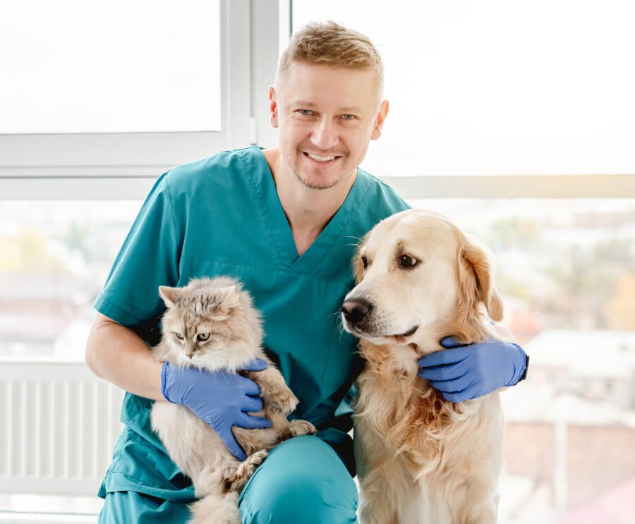 happy veterinarian hugging dog and cat nm9exc2.jpg