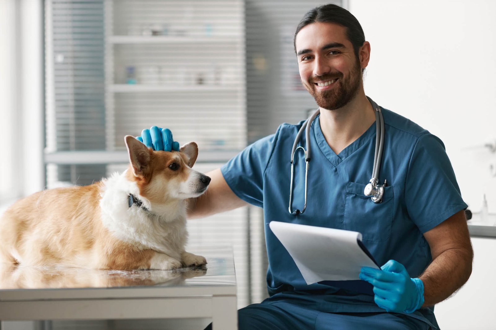 happy young vet clinician with stethoscope on neck netxfu8.jpg