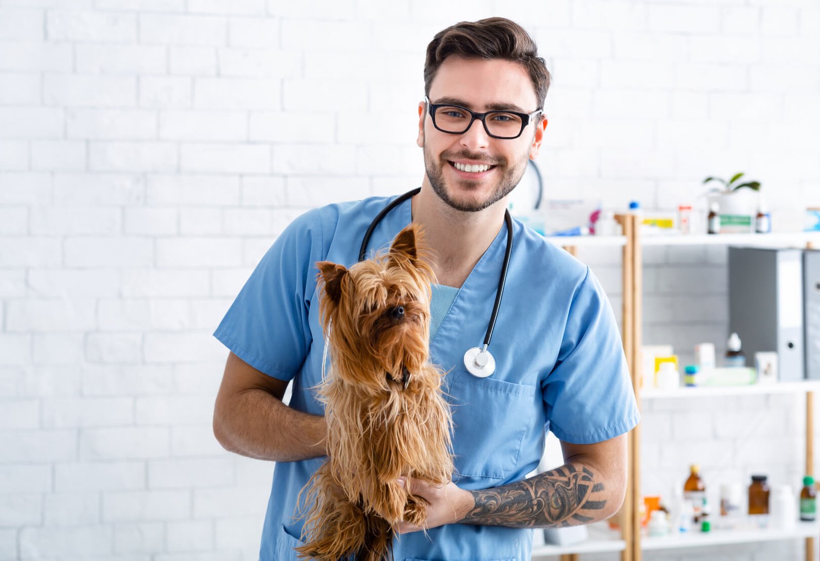 portrait of cheerful veterinary doc holding cute y lbjdxdf.jpg