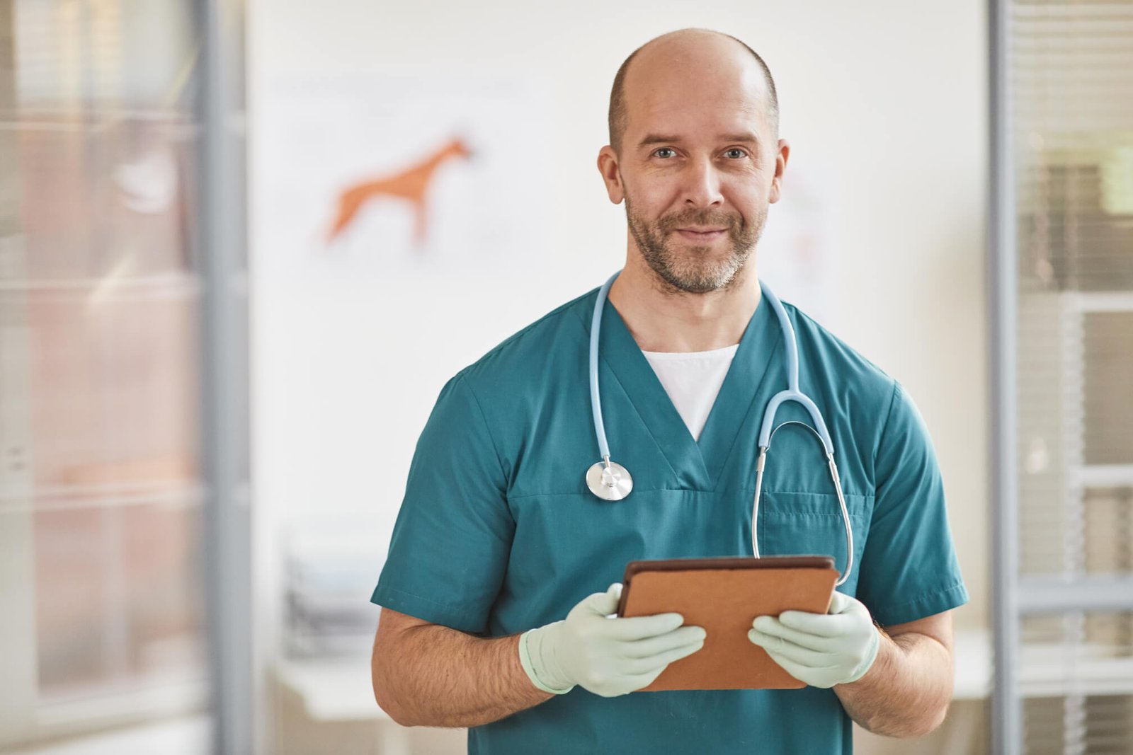 smiling veterinarian in clinic qtcllg3.jpg