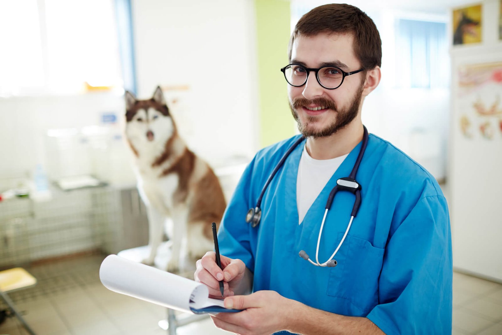 successful veterinarian f4ddvwd.jpg